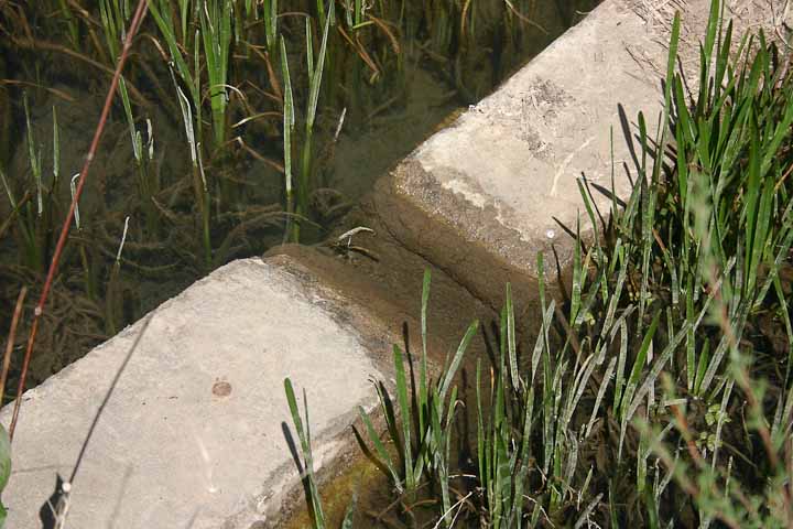 USGS Station weir on Rio Bonito